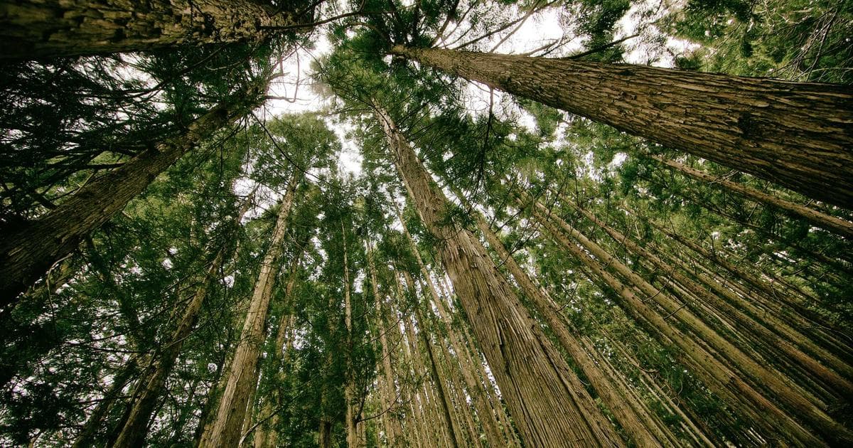 Salgsteam som gjennomgår kundeoversikt på skjerm i et kontorlandskap